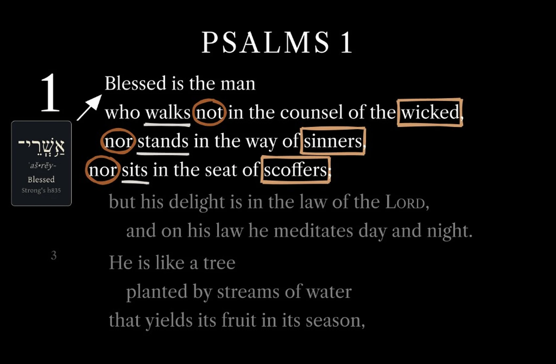 Psalm 1 slide with Hebrew word study and verse annotations